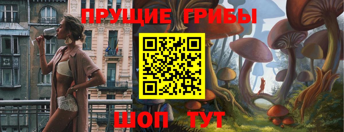 Псилоцибиновые грибы Cubensis Мирный