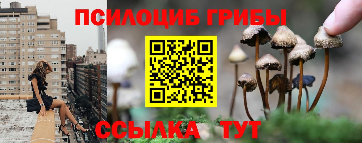 Псилоцибиновые грибы мухоморы  Псилоцибиновые грибы Magic Shrooms  Вход с VPN  Мирный 